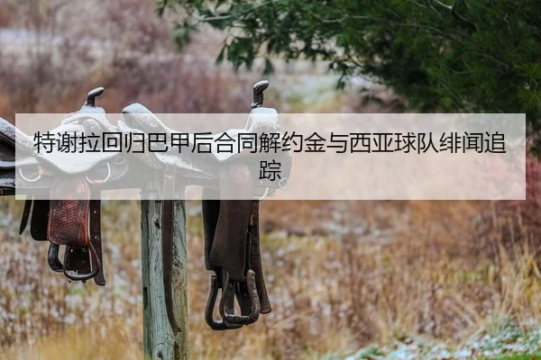 特谢拉回归巴甲后合同解约金与西亚球队绯闻追踪
