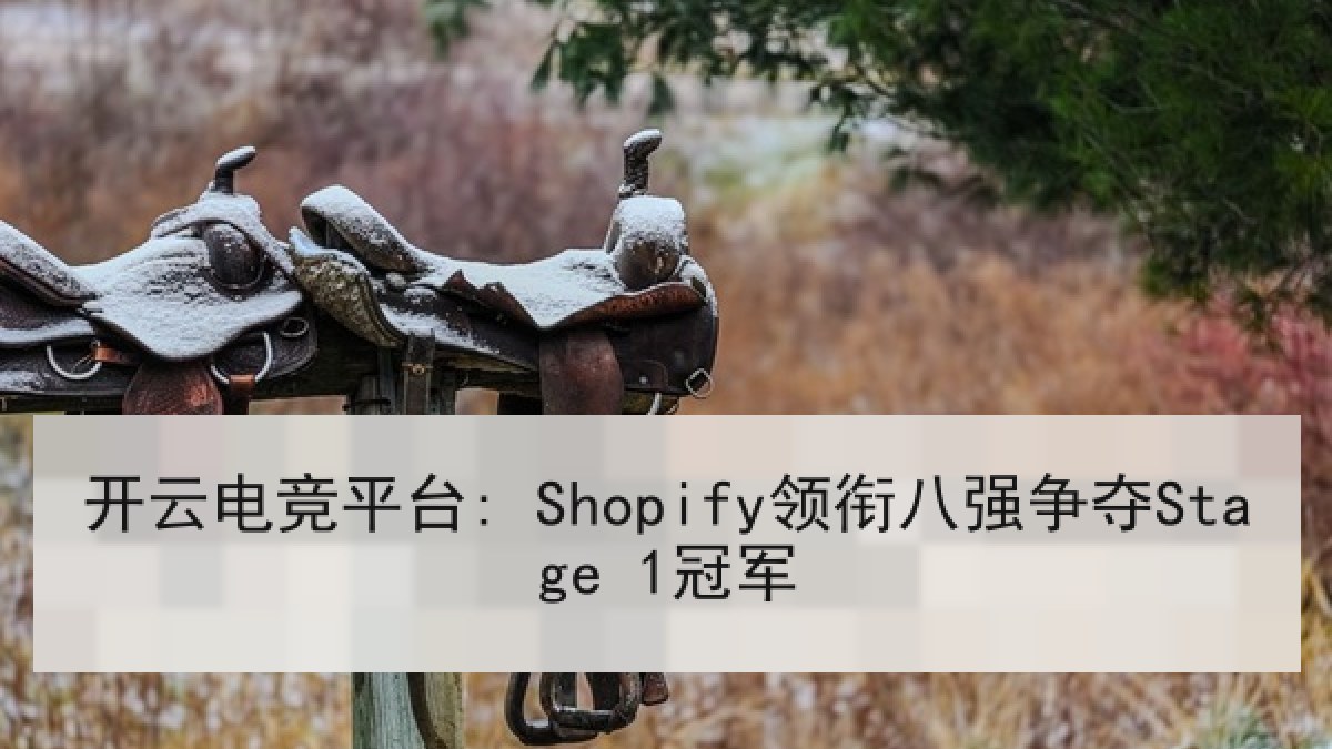 开云电竞平台: Shopify领衔八强争夺Stage 1冠军 开云电竞平台: Shopify领衔八强争夺Stage 1冠军