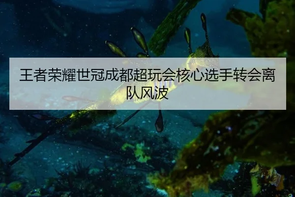 王者荣耀世冠成都超玩会核心选手转会离队风波
