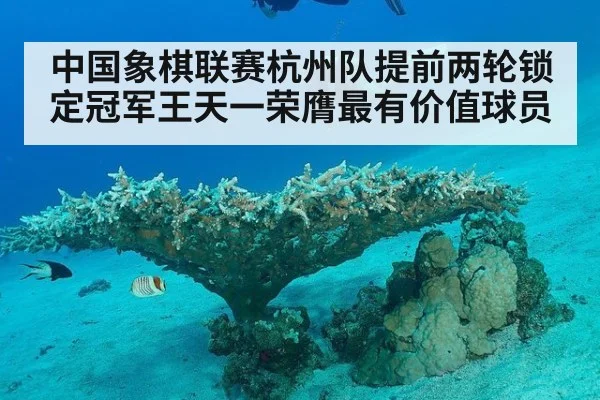 中国象棋联赛杭州队提前两轮锁定冠军王天一荣膺最有价值球员