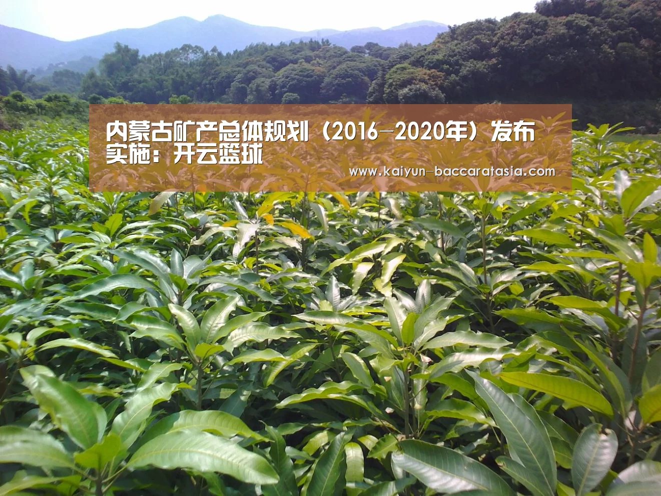内蒙古矿产总体规划(2016-2020年)发布实施:开云篮球(图2) 开云足球